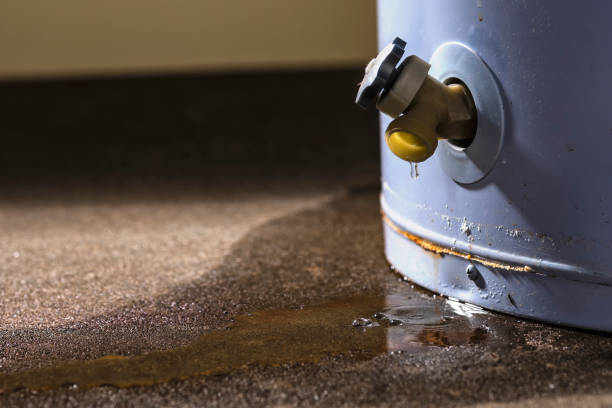 Best Carpet water damage restoration  in Montclair State University, NJ