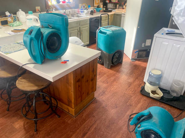 Best 24/7 water damage repair  in Montclair State University, NJ