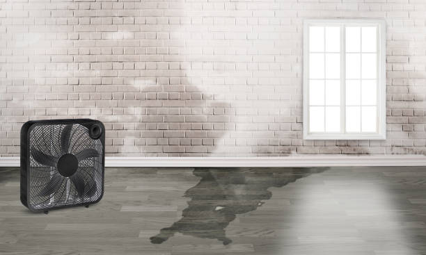 Best Water damage restoration near me  in Montclair State University, NJ