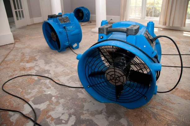 Best Basement water damage restoration  in Montclair State University, NJ