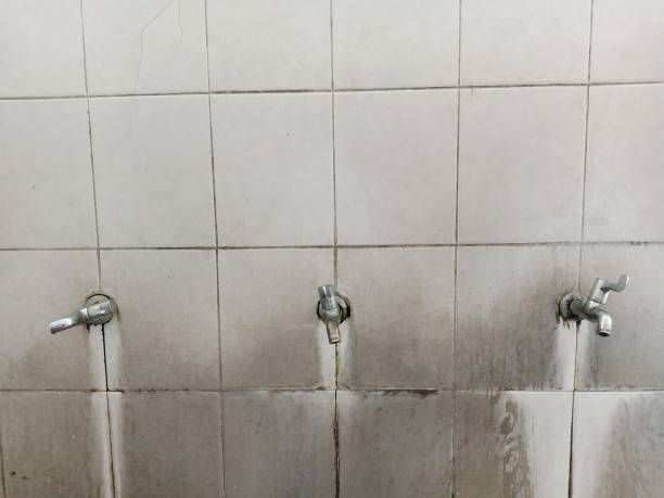 Best Sewage cleanup and water damage restoration  in Montclair State University, NJ