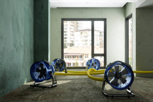 Best Sewage cleanup and water damage restoration  in Montclair State University, NJ